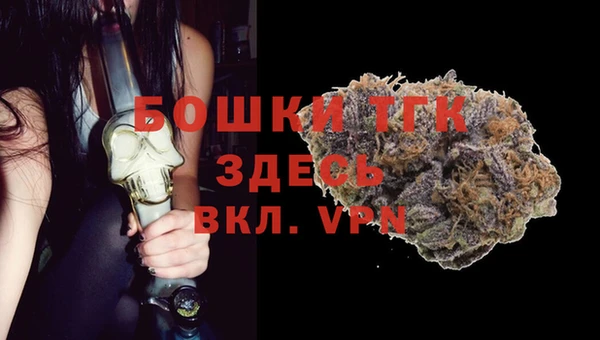 PSILOCYBIN Белокуриха