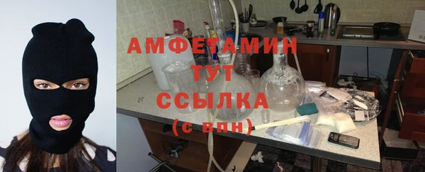 PSILOCYBIN Белокуриха