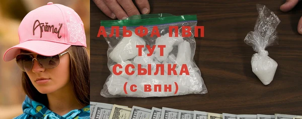 PSILOCYBIN Белокуриха