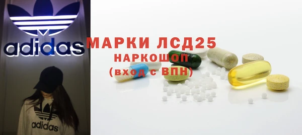 PSILOCYBIN Белокуриха