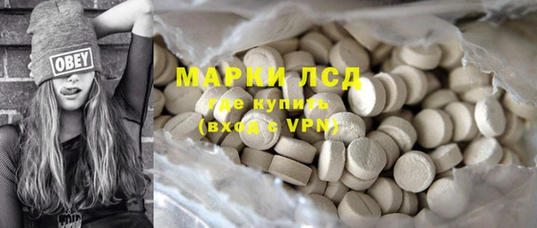 PSILOCYBIN Белокуриха